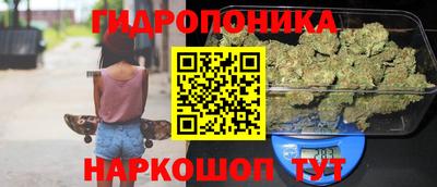 индика Кулебаки