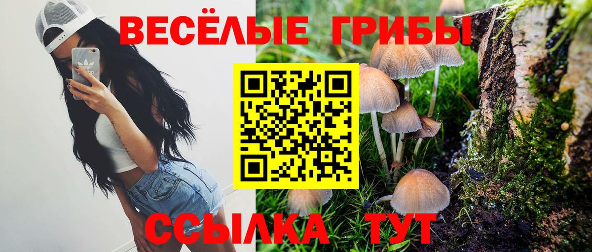Бирск  Псилоцибиновые грибы мицелий  Вход с VPN 