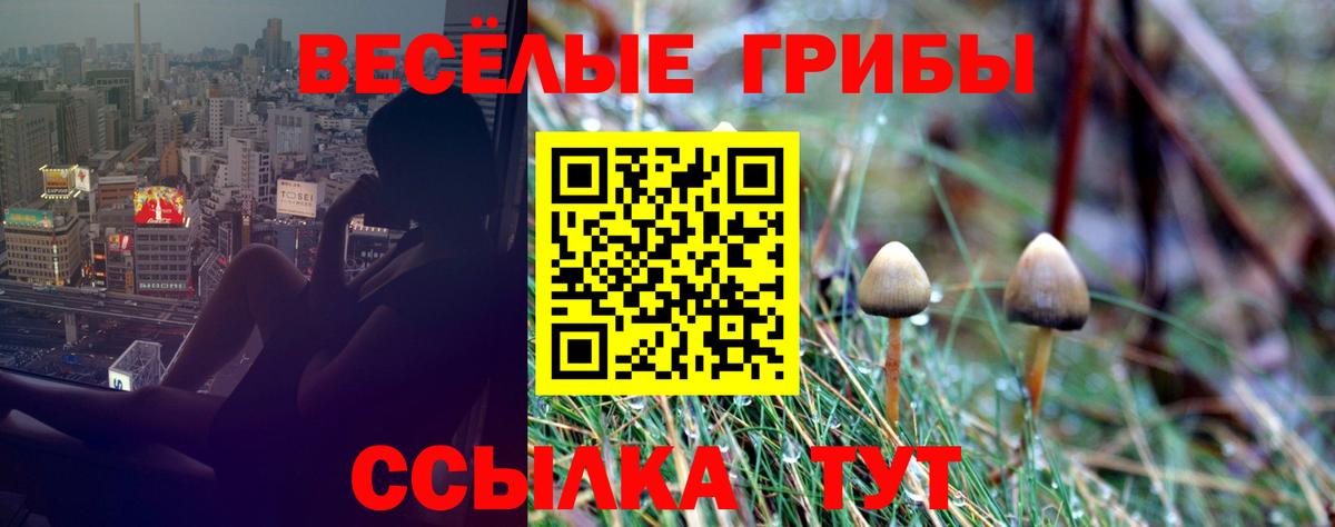 Псилоцибиновые грибы Magic Shrooms Бирск